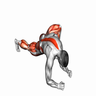 Warming-up in Lunge (six)