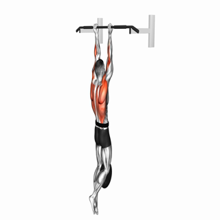 Weighted Chin-up