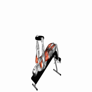 Weighted Decline Sit-up