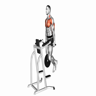 Weighted Tricep Dip